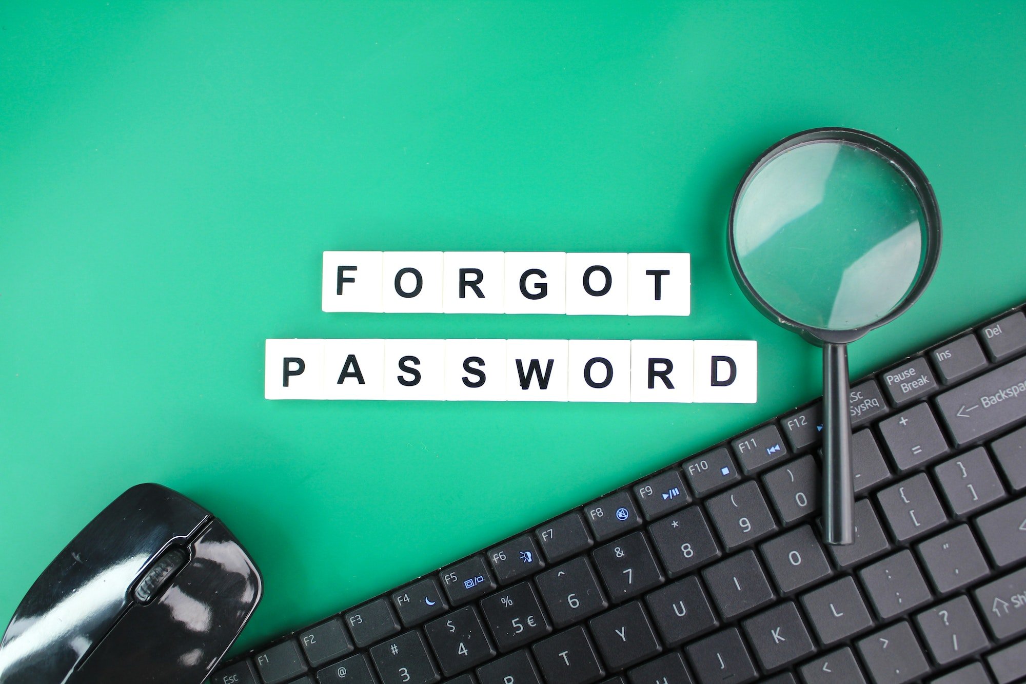 forgotten wordpress password